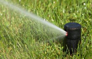 s recently installed sprinkler system in Richmond Hill