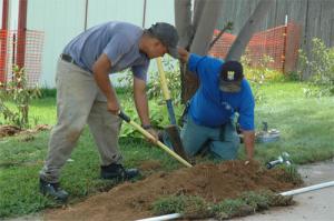two of our pros are installing a new sprinkler system in Vaughan ON